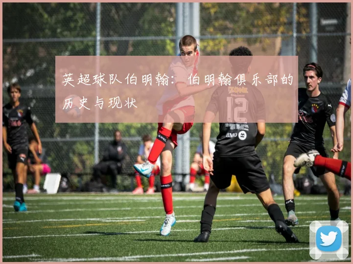 英超球队伯明翰：伯明翰俱乐部的历史与现状